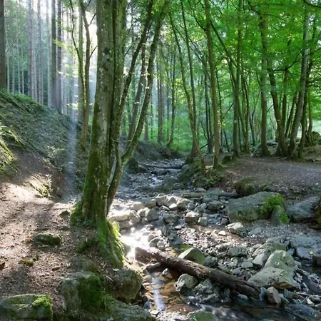 Apartment Glamping Tent In The Heart Of Ardennes *